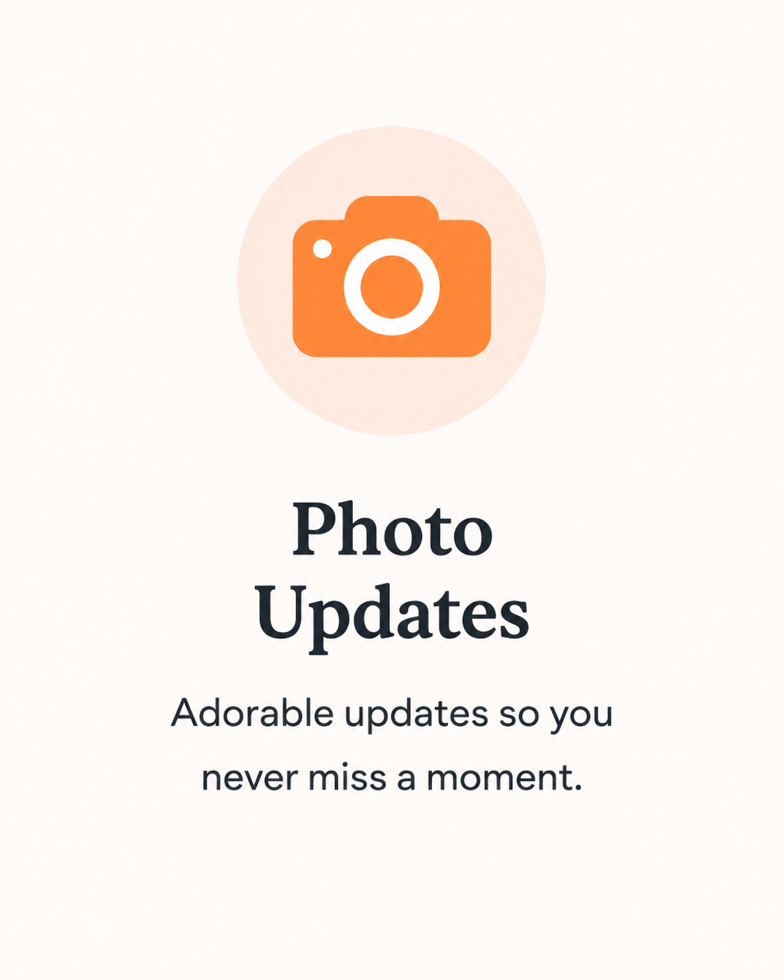 Photo updates